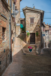 urbino